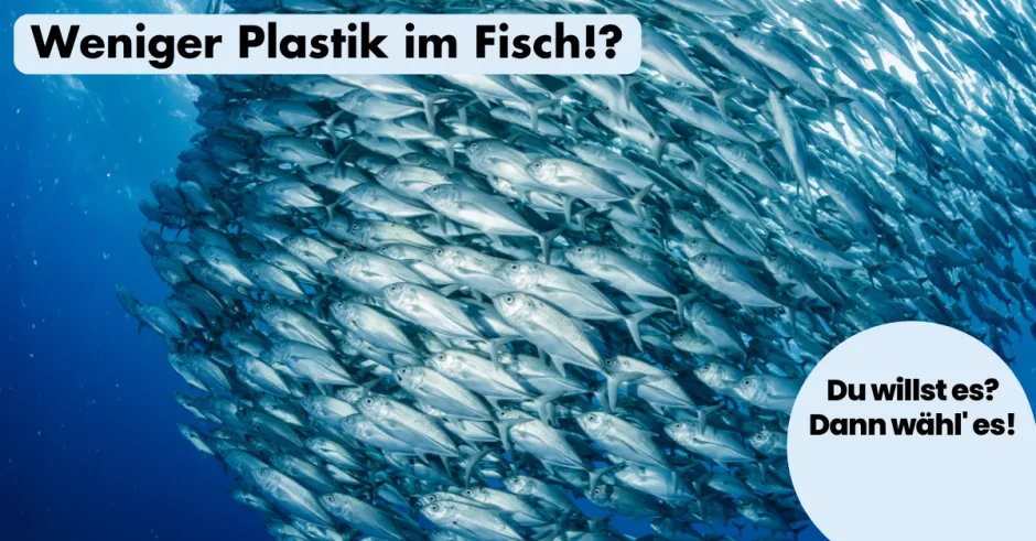 ohnelogo_linkedin_saubere_meere_fische